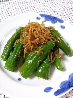 ししとうとじゃこ炒め***ちょっとピリ辛